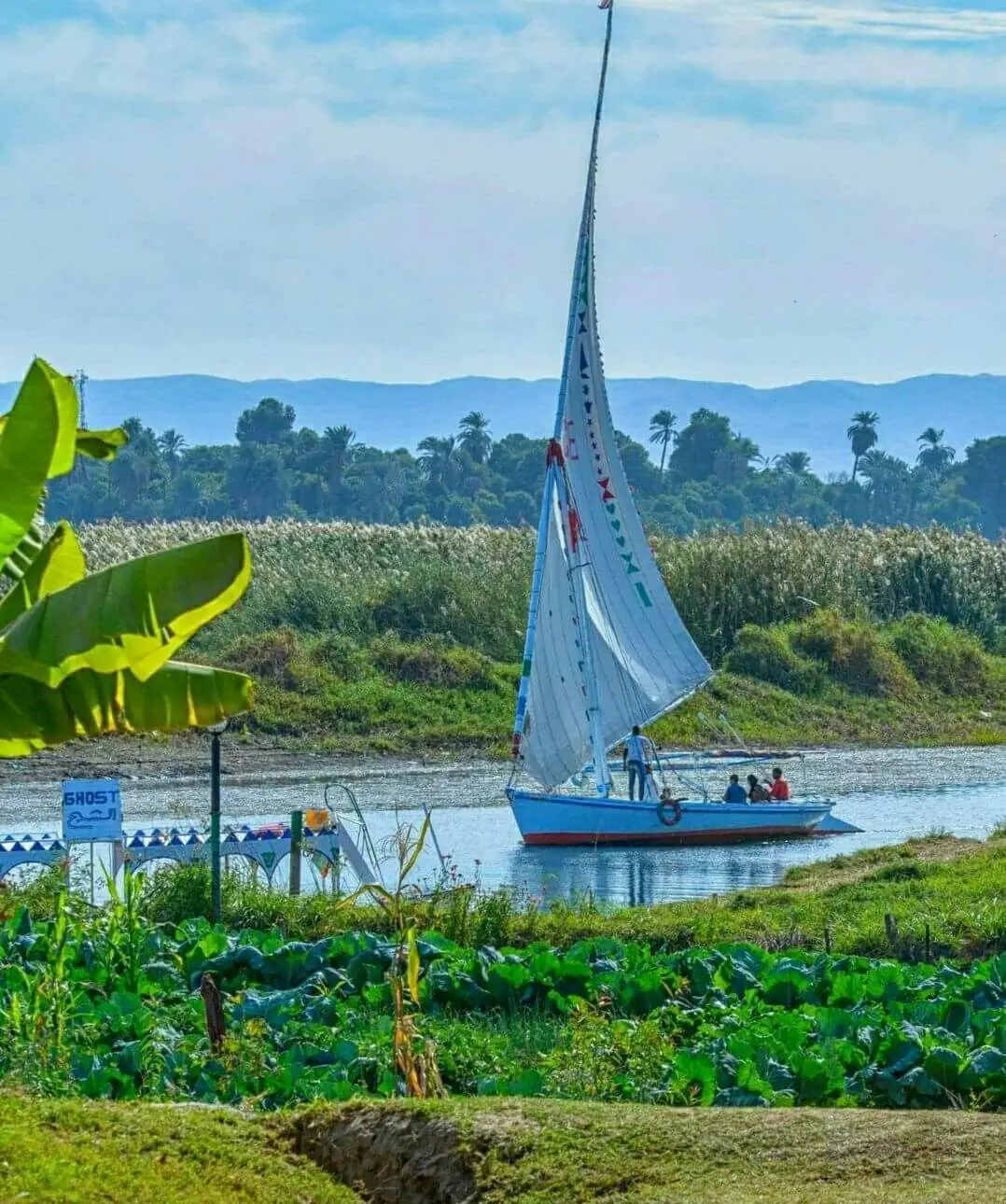 Felucca