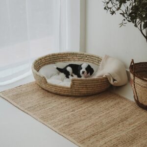 Gamandy Pet Bed